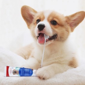 Pet Toothpaste Set Supplier - Fresh Breath Edible Grooming