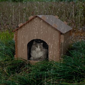 宠物庇护所厂家-折叠户外防水流浪