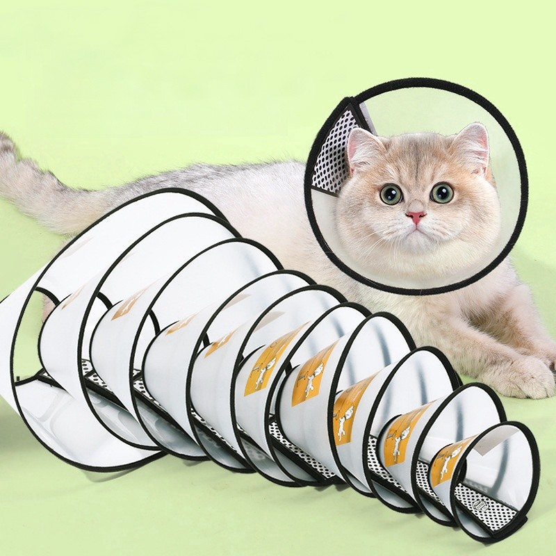 Pet Elizabeth Collar Manufacturer - Anti Bite Scratch Plastic