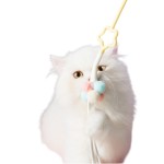 猫玩具供应商-便携仙女逗猫棒