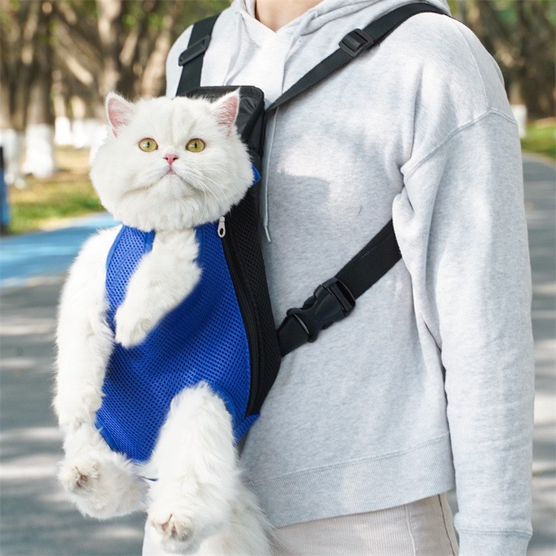 Pet Carrier Backpack Supplier - Solid Foldable Breathable Mesh