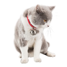 Cat Bell Collar Supplier - Anti-Allergy Indoor Pets