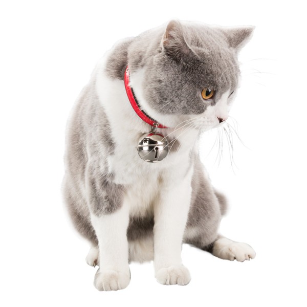 猫铃铛项圈供应商-防过敏室内宠物