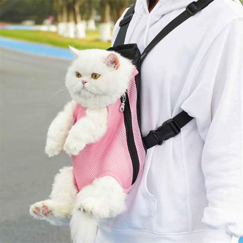 Pet Backpack Supplier - Foldable Portable Mesh Breathable