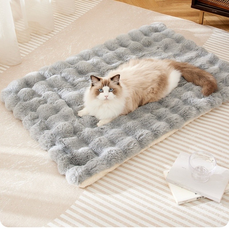 Cat Sleeping Bed Supplier - Modern Cage Soft Sofa Cushion