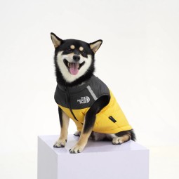 狗服装供应商-聚酯棉经典运动
