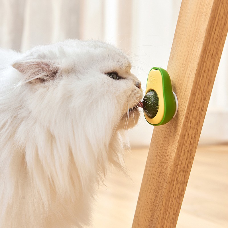 Plastic Cat Toy Supplier - Avocado Mint Balls Safe Licking