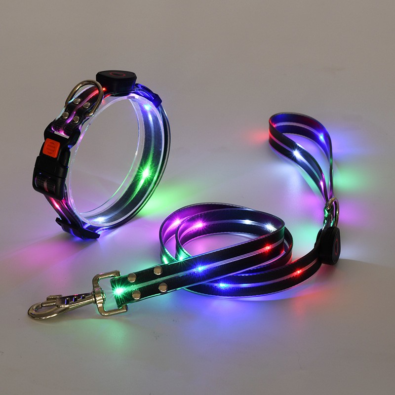 LED Dog Collar Manufacturer - Glow Leash Set Rechargeable