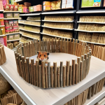 狗咬胶玩具套装厂家-三合一木质兔鼠