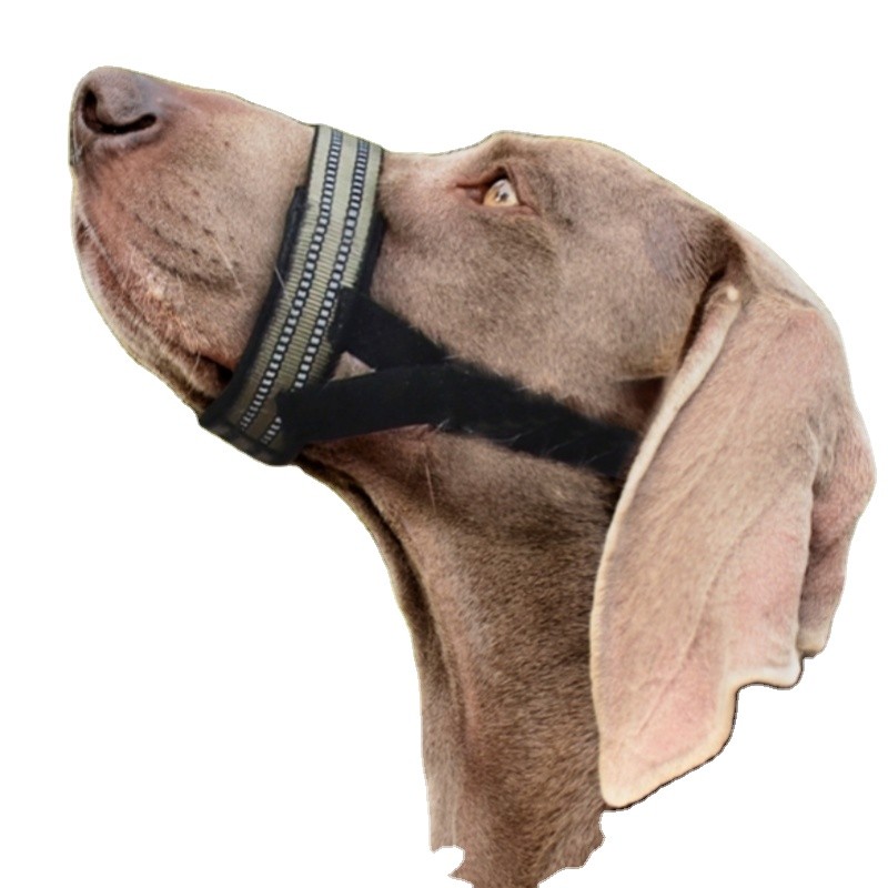 Horse Bridle Factory - Full Braided Swivel Hook