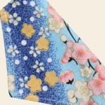 宠物衣服供应商-恐龙变形绒布