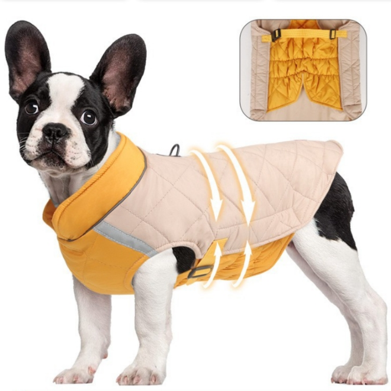 Pet Carabiner Manufacturer - 7075 Aluminum Waterproof Collar