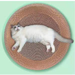 猫树塔供应商-大型可持续剑麻木
