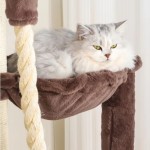 猫玩具厂家-耐用三抓猫狂喜