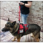 服务犬牵引绳厂家-定制皮革标识
