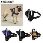Dog Harness Manufacturer - OEM Outdoor Simple Handle Control