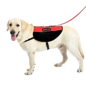 Service Dog Vest Factory - OEM Emotional Support Comfortable