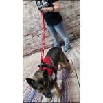 服务犬牵引绳厂家-定制皮革标识