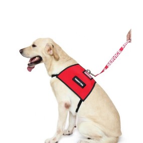 Service Dog Vest Factory - OEM Soft Cape ESA Patches