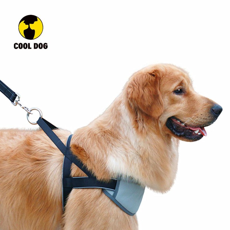 Dog Harness Manufacturer - OEM Reflective Nylon XXL No Pull