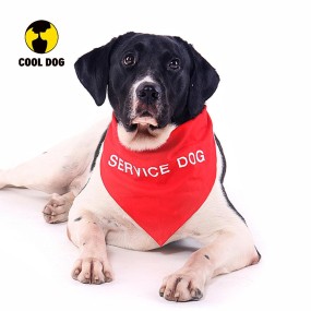 Pet Bandana Manufacturer - OEM Reflective Personalized Embroidered
