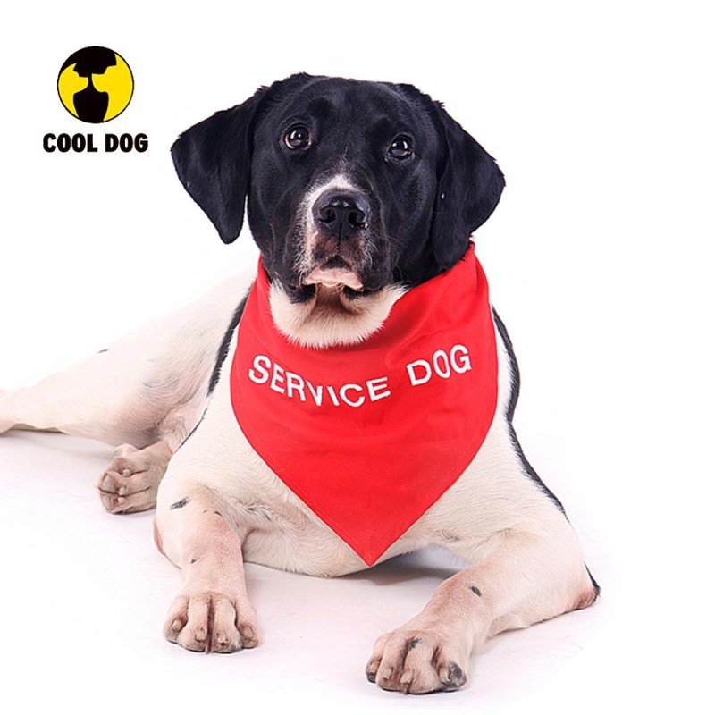 Pet Bandana Manufacturer - OEM Reflective Personalized Embroidered