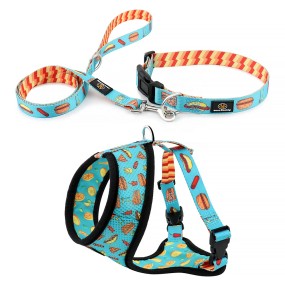 Pet Collar Set Manufacturer - OEM Custom Reversible Heat Transfer