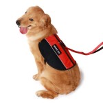 服务犬背心厂家-情感支持舒适款