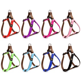 Dog Harness Set Manufacturer - OEM Custom Print Car Safe