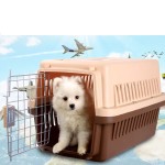 宠物航空箱厂家-双门顶载硬边带轮