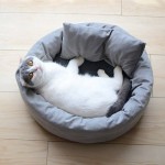 宠物舍供应商-机洗室内保暖