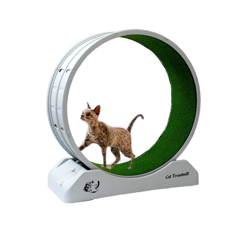 Cat Treadmill Factory - Eco-Friendly Silent Running Wheel