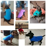 幼犬服装供应商-绒布法斗巴哥服饰