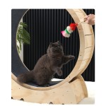 猫跑轮厂家-静音跑步运动滚轮实木
