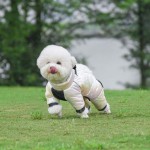 狗雪地服供应商-毛领背心反光