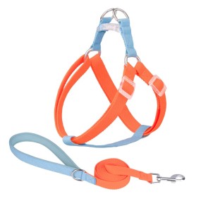 Dog Harness Supplier - No-Pull Nylon Leash Set French Bulldog