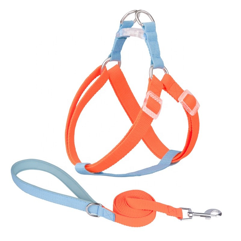 Dog Harness Supplier - No-Pull Nylon Leash Set French Bulldog