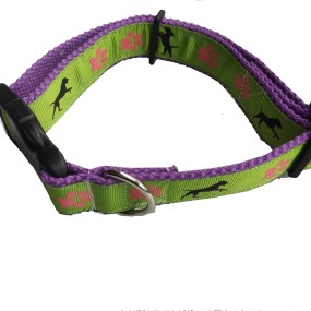 Dog Leash Manufacturer - Stable PP Webbing Collar for Pet