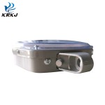 便携秤厂家-5kg-100kg弹簧钩