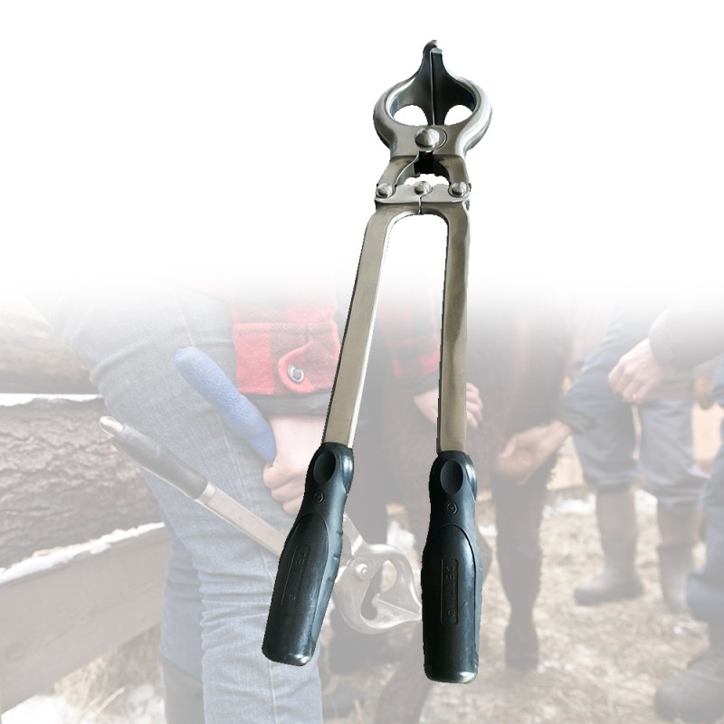 Castration Tool Factory - OEM Stainless Steel Cattle Cow