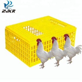 Livestock Cage Factory - OEM Plastic Autolock Transport