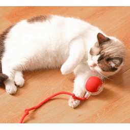 猫玩具球供应商-自动跳跃移动自玩