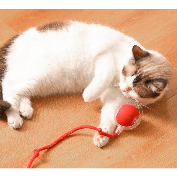 猫玩具球供应商-自动跳跃移动自玩