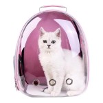 猫背包供应商-折叠透明通风航空箱