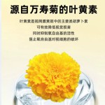 Blueberry Lutein Tablets Manufacturer - Pet Eye Protection Tear Stain Removal
