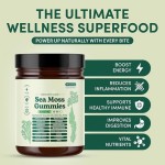 Seaweed Gummy Supplement Manufacturer - 16-in-1 Immune Health Black Seed Oil