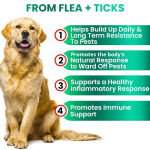 Anti-Flea Tick Tablets Supplier - Chewable Immunity Skin Health for Dogs