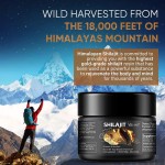 Himalayan Shilajit Soft Resin Supplier - Food Grade Herbal Extract Cream in Bottle