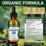 Mullein Leaf Liquid Extract Factory - Chlorophyll Drops Glass Bottle Adults