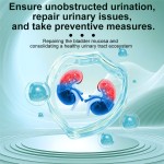 Pet Urinary Care Paste Manufacturer - Modern Premium Nutritional Supplement for Cats Dogs